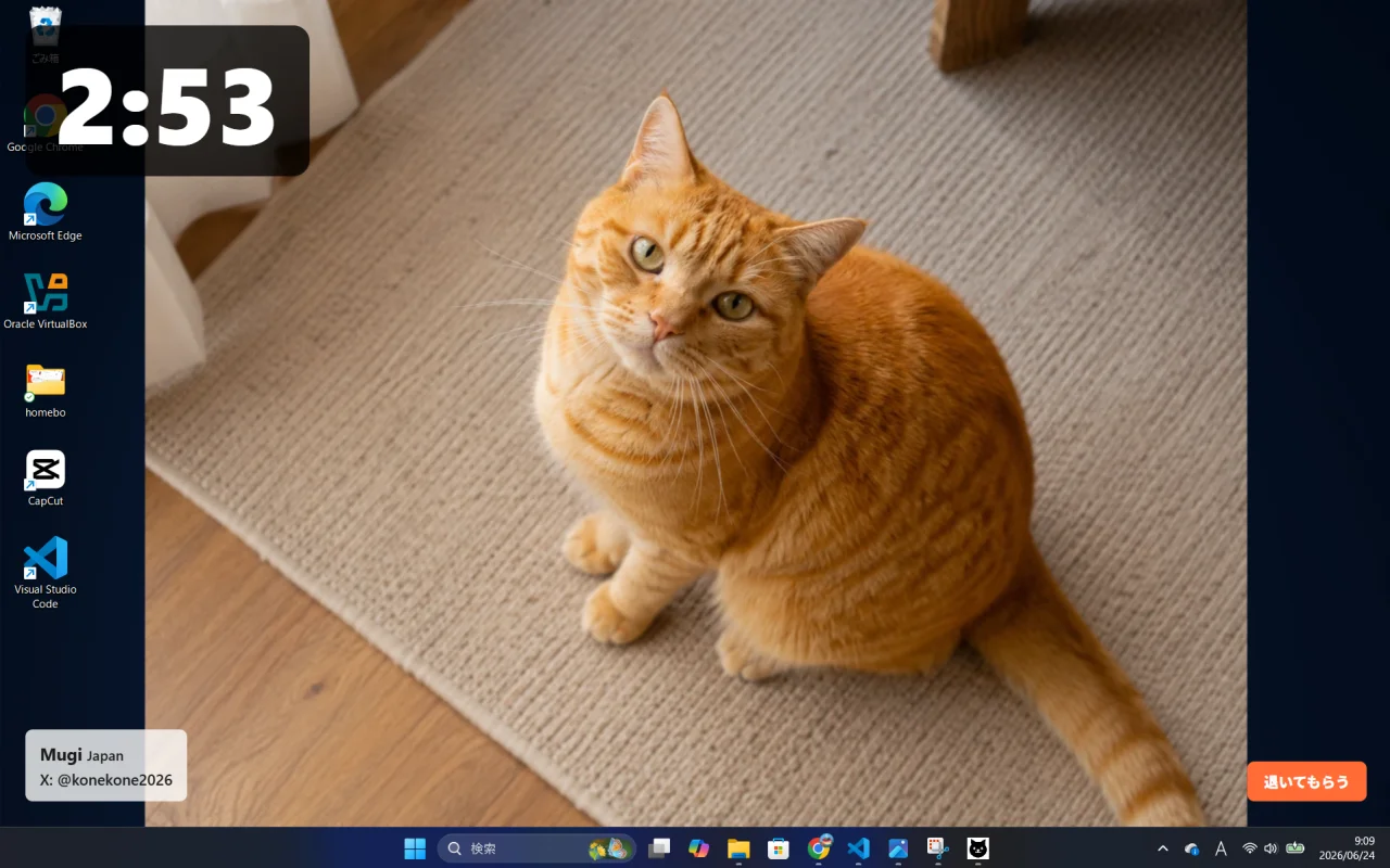 Example of a cat photo shown on the desktop