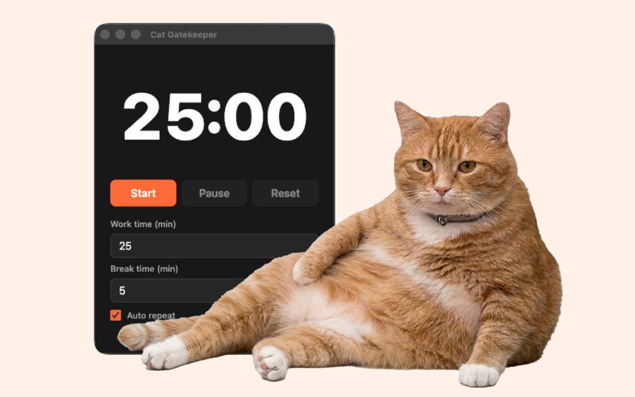 Cat Gatekeeper Desktop cat interruption screen