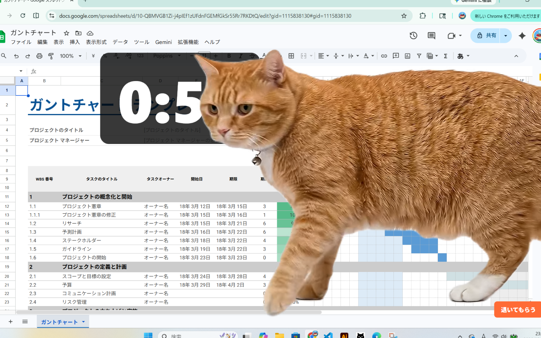 Cat Gatekeeper Desktop Windows timer setup window