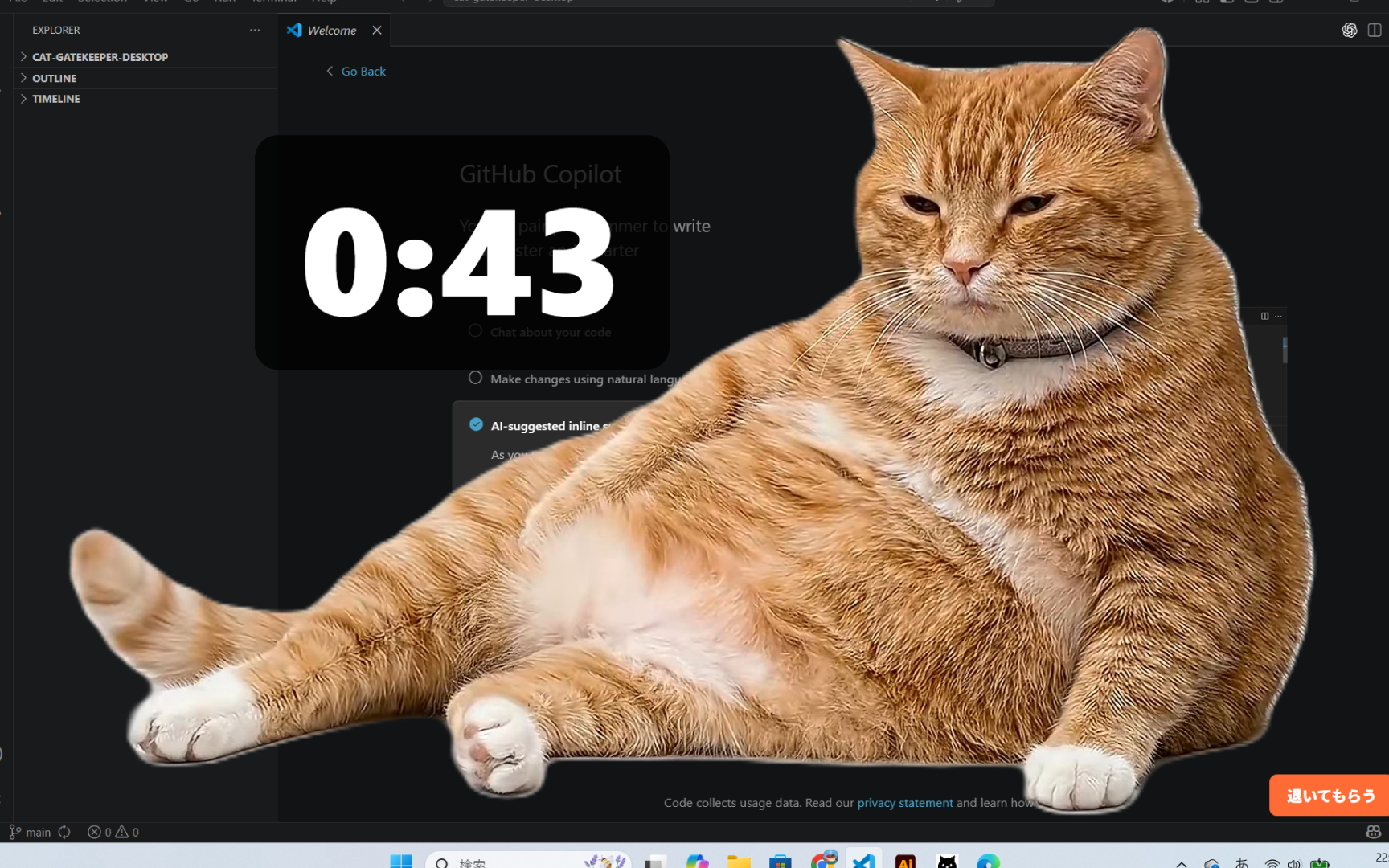 Cat Gatekeeper Desktop Windows break screen with a cat