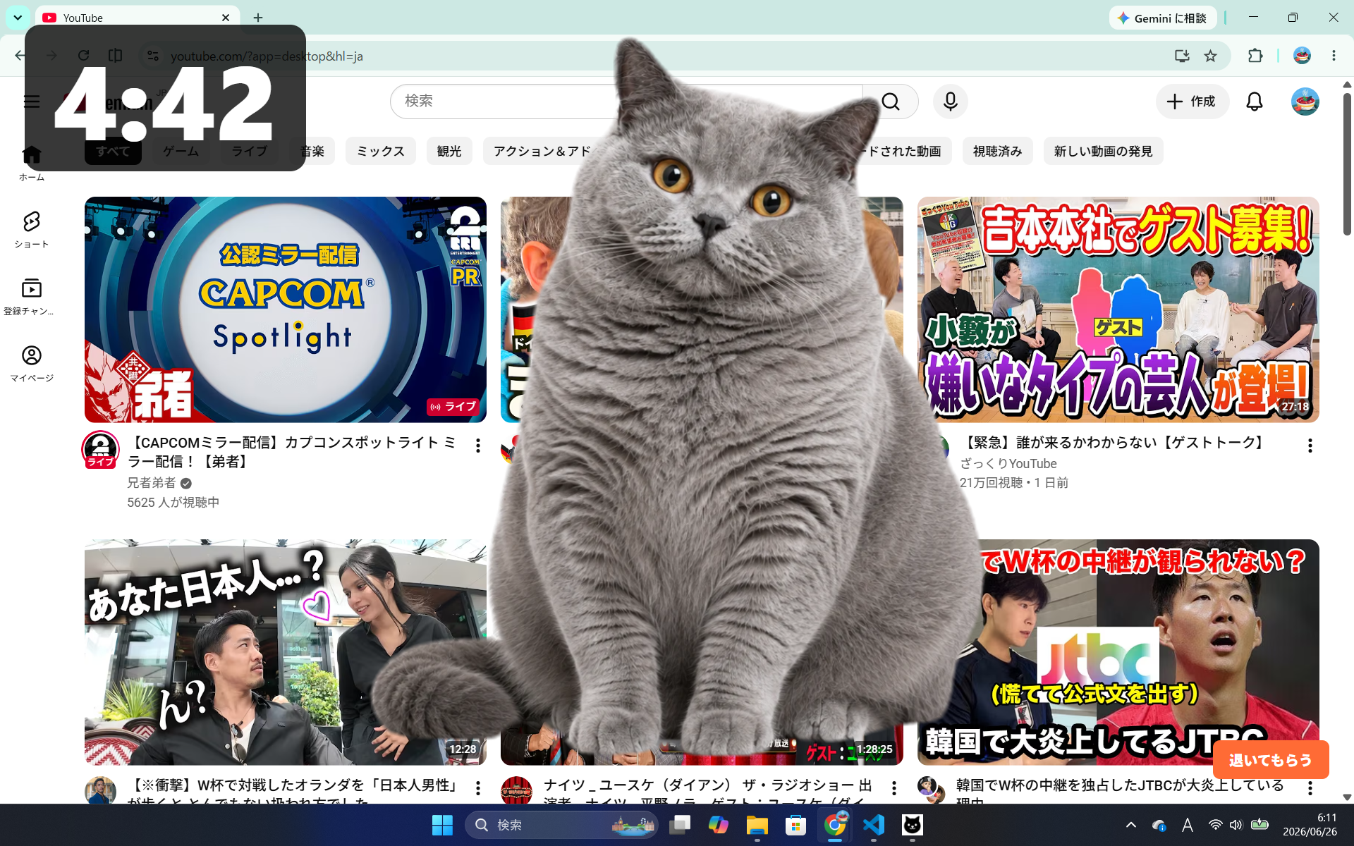 Example of a cat photo shown after background removal