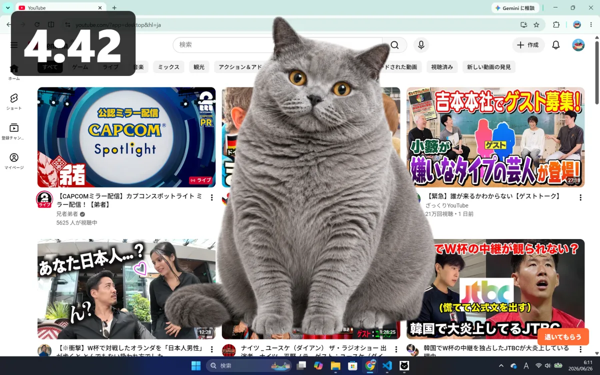Example of a cat photo shown after background removal