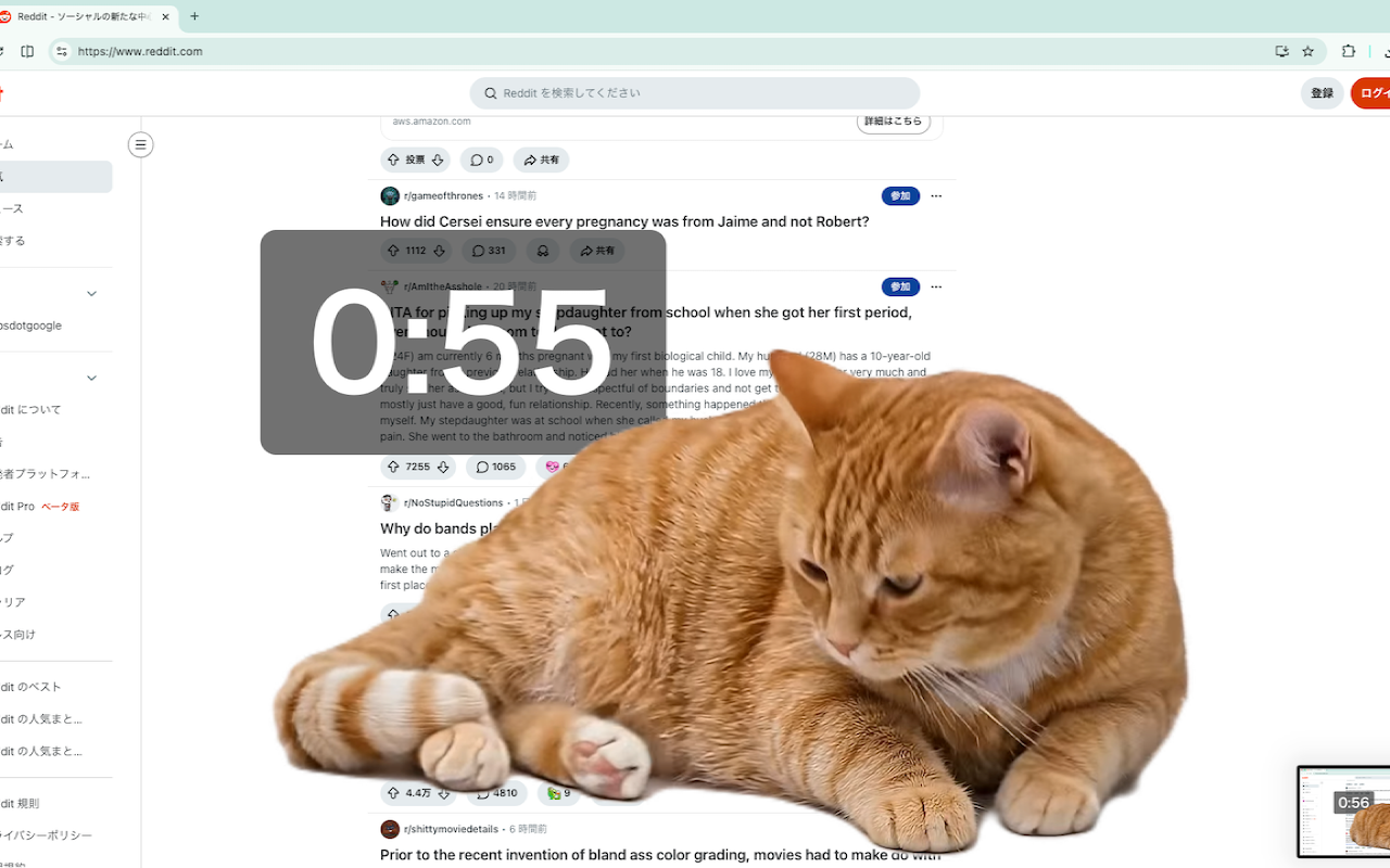 Cat Gatekeeper preview with a cat lying across the screen